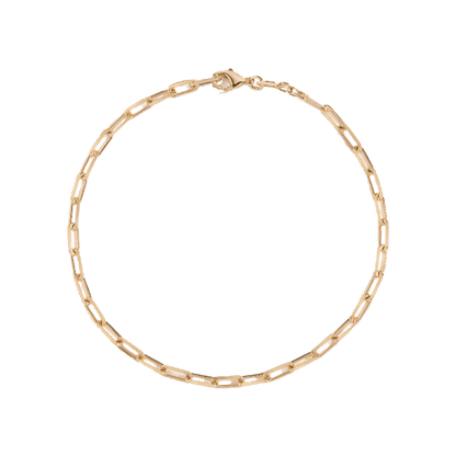 Small Link Anklet